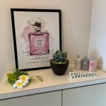 初心者でも簡単に育てられる？観葉植物ならアガベがオススメ！