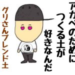 アガベの土は水はけの良い乾燥した土が最適！？基本は多肉植物用の培養土！慣れたらグリさんブレンドでやってみよう！！
