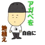 アガベを庭先でダイナミックに育ててみよう！！